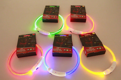 Glow Collar for Dogs