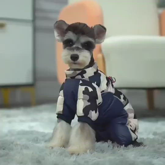 Teddy Dog Coat