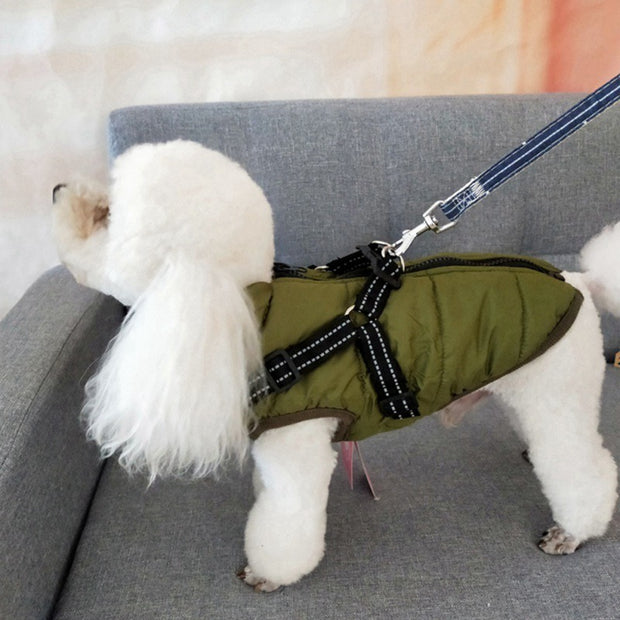 Dog Coat with Harness