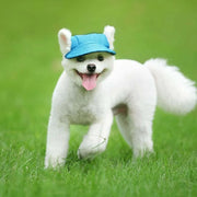 Sun Hat for Dogs