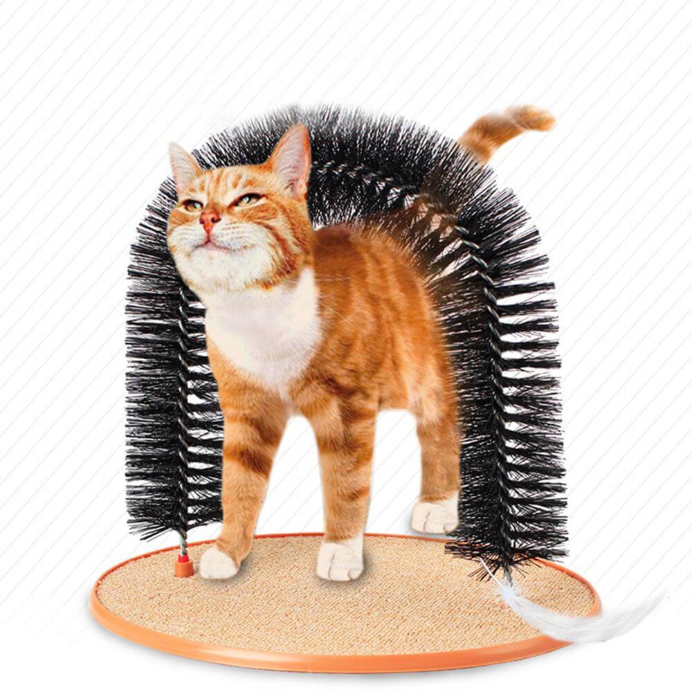 Cats Massage Arch Brush