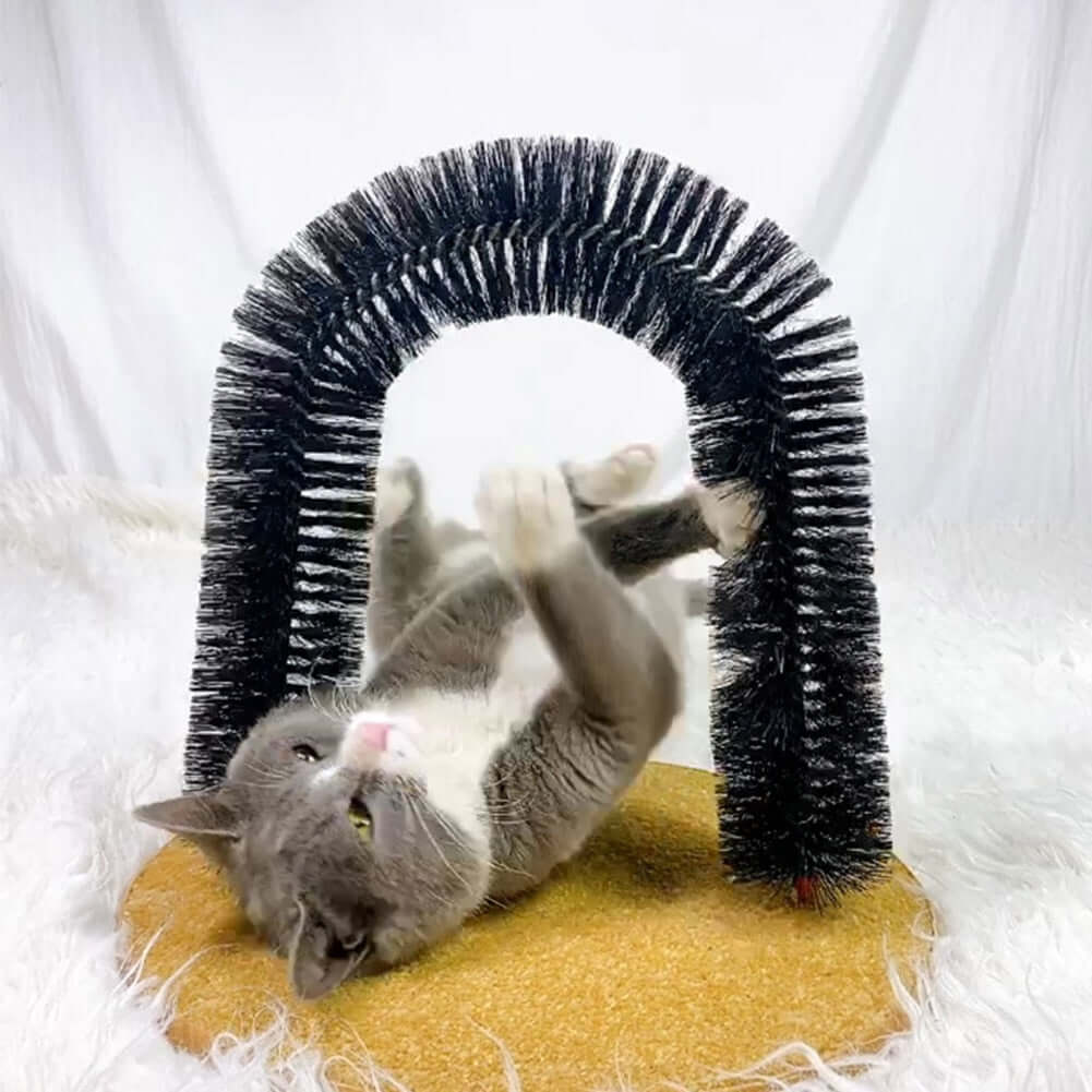 Cats Massage Arch Brush