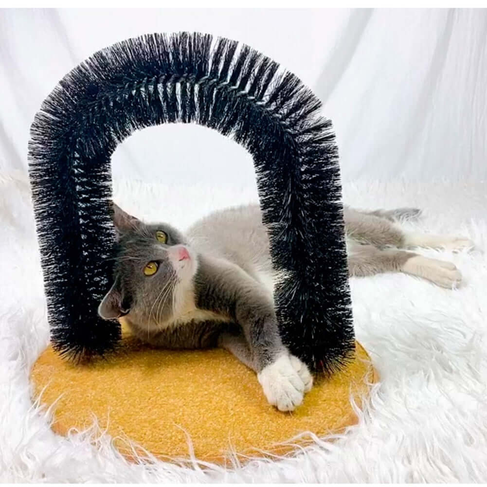 Cats Massage Arch Brush