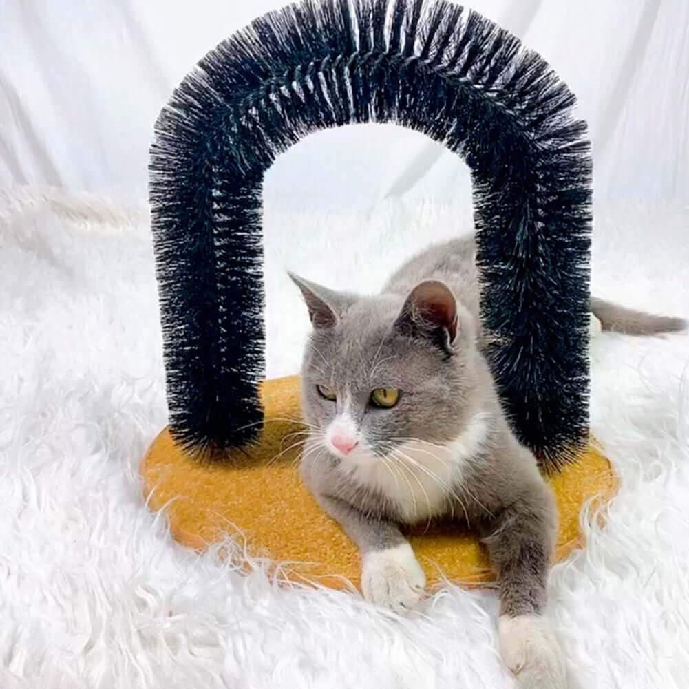 Cats Massage Arch Brush