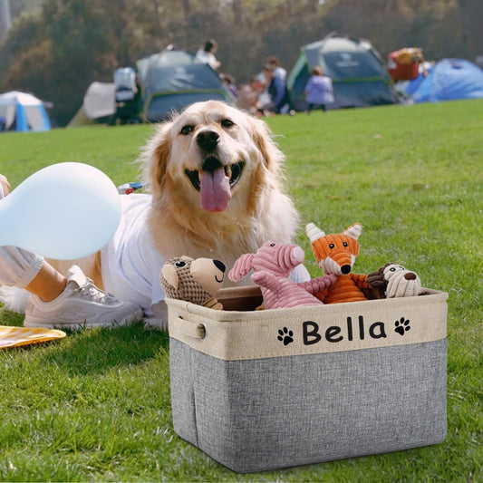 Personalized Dog Toy Basket