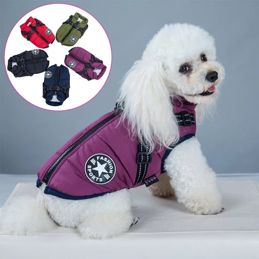 Dog Coat with Harness