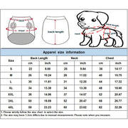 Dog Coat with Harness