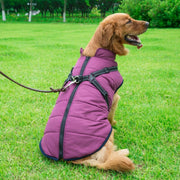 Dog Coat with Harness