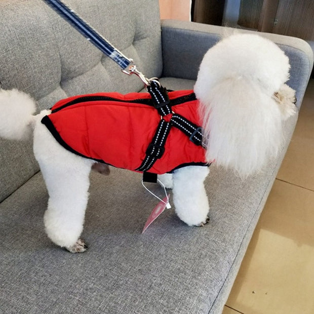 Dog Coat with Harness