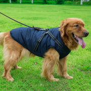 Dog Coat with Harness