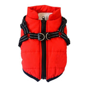 Dog Coat with Harness